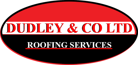 Dudley & Co Ltd logo